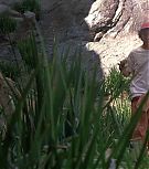 2003-Shia-LaBeouf-as-Stanley-Yelnats-in-Disneys-HOLES-HD-screencaptures-1263.jpg