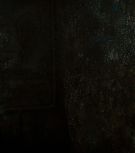 2008-Shia-LaBeouf-as-Mutt-Williams-in-Indiana-Jones-4-Screencaps-0370.jpg