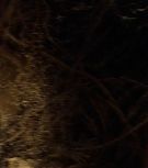 2008-Shia-LaBeouf-as-Mutt-Williams-in-Indiana-Jones-4-Screencaps-0440.jpg