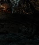2008-Shia-LaBeouf-as-Mutt-Williams-in-Indiana-Jones-4-Screencaps-0469.jpg