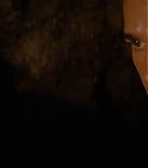 2008-Shia-LaBeouf-as-Mutt-Williams-in-Indiana-Jones-4-Screencaps-0558.jpg