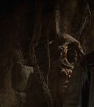 2008-Shia-LaBeouf-as-Mutt-Williams-in-Indiana-Jones-4-Screencaps-0596.jpg