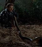 2008-Shia-LaBeouf-as-Mutt-Williams-in-Indiana-Jones-4-Screencaps-0704.jpg