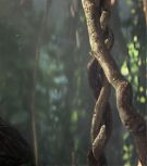 2008-Shia-LaBeouf-as-Mutt-Williams-in-Indiana-Jones-4-Screencaps-0808.jpg