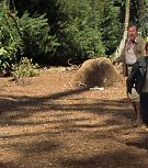 2008-Shia-LaBeouf-as-Mutt-Williams-in-Indiana-Jones-4-Screencaps-0822.jpg