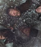 2008-Shia-LaBeouf-as-Mutt-Williams-in-Indiana-Jones-4-Screencaps-1092.jpg