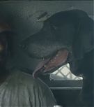 2019-Shia-LaBeouf-as-Tyler-in-The-Peanut-Butter-Falcon-HD-Screencaptures-0236.jpg