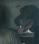 2019-Shia-LaBeouf-as-Tyler-in-The-Peanut-Butter-Falcon-HD-Screencaptures-0239.jpg