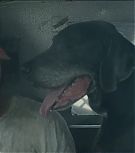 2019-Shia-LaBeouf-as-Tyler-in-The-Peanut-Butter-Falcon-HD-Screencaptures-0259.jpg