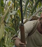 2019-Shia-LaBeouf-as-Tyler-in-The-Peanut-Butter-Falcon-HD-Screencaptures-0399.jpg