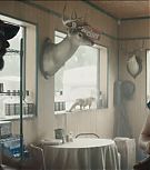 2019-Shia-LaBeouf-as-Tyler-in-The-Peanut-Butter-Falcon-HD-Screencaptures-0483.jpg