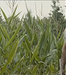 2019-Shia-LaBeouf-as-Tyler-in-The-Peanut-Butter-Falcon-HD-Screencaptures-0519.jpg