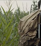 2019-Shia-LaBeouf-as-Tyler-in-The-Peanut-Butter-Falcon-HD-Screencaptures-0534.jpg